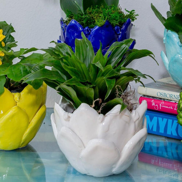 Decorative planters with books on a reflective surface