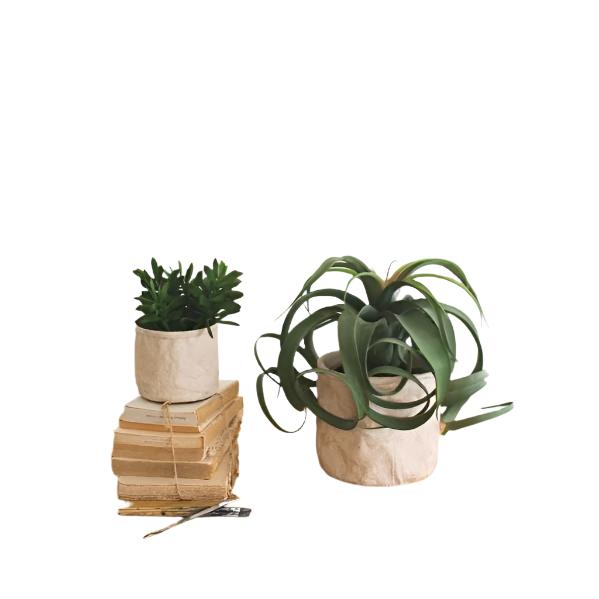 The Cement Sack Planters set by BSEID showcases two potted plants, with one elegantly displayed in a natural cream-colored sack planter perched on stacked books and the other in a modern cement planter beside them, all set against a plain white background.