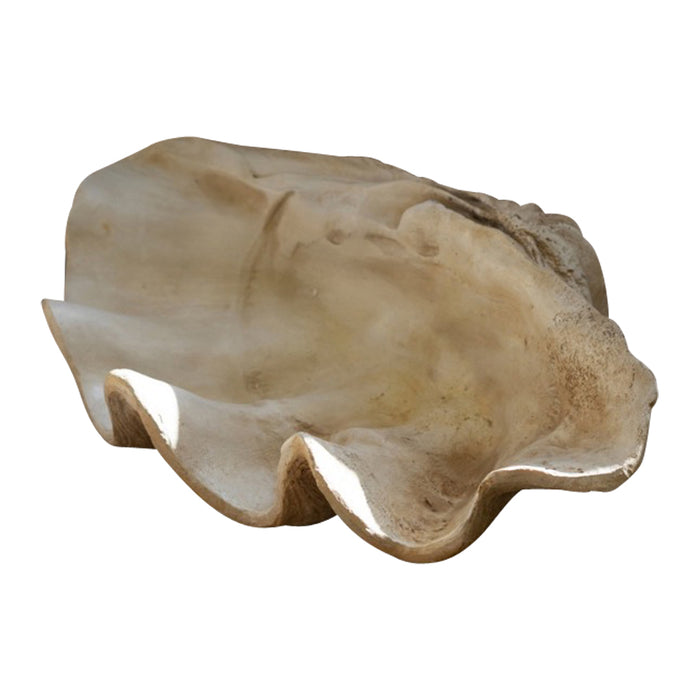 resin clam shell decor natural organic cream