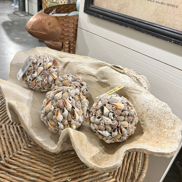resin clam shell decor natural organic cream