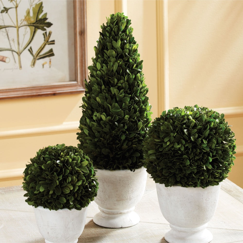 large round green topiary boxwood white vase
