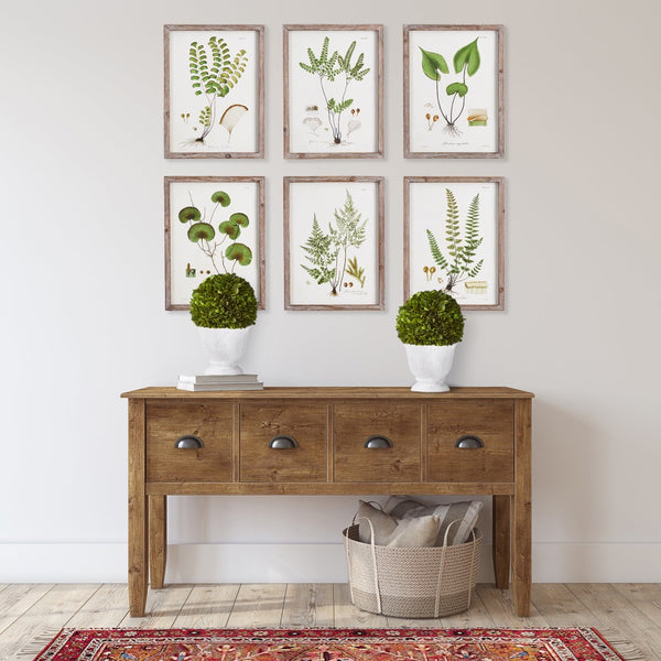 small round green topiary boxwood white vase