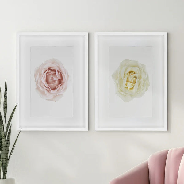 Two Barloga Studios Pink Rose Photography Art prints on a wall, next to a pink chair and a green plant.