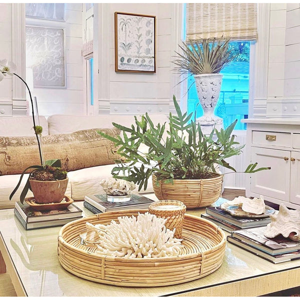 A cozy living room with plants, books, and decorative coral on a glass coffee table adorned with the Napa Home & Garden Cane Rattan Baskets (set of 3), perfect for serving snacks.
