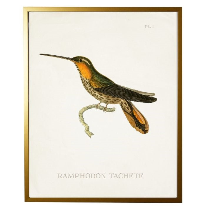 left facing hummingbird wall art