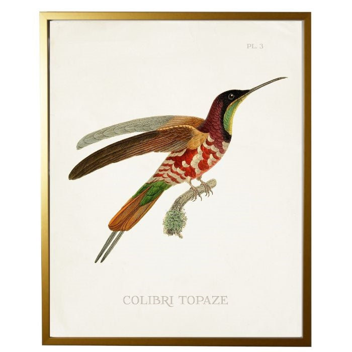 right facing hummingbird wall art