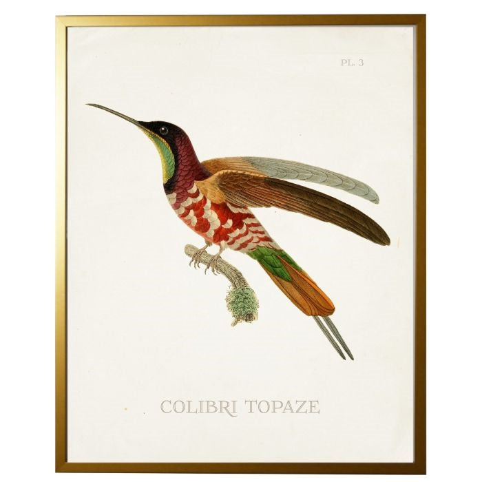 left facing hummingbird wall art