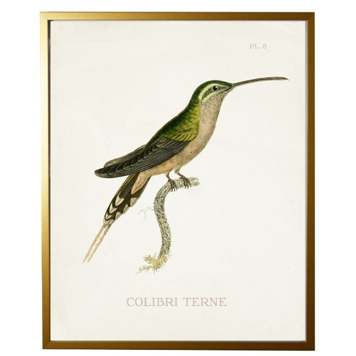 right facing hummingbird wall art
