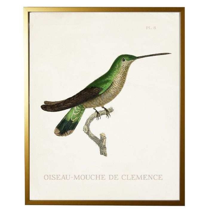 right facing hummingbird wall art