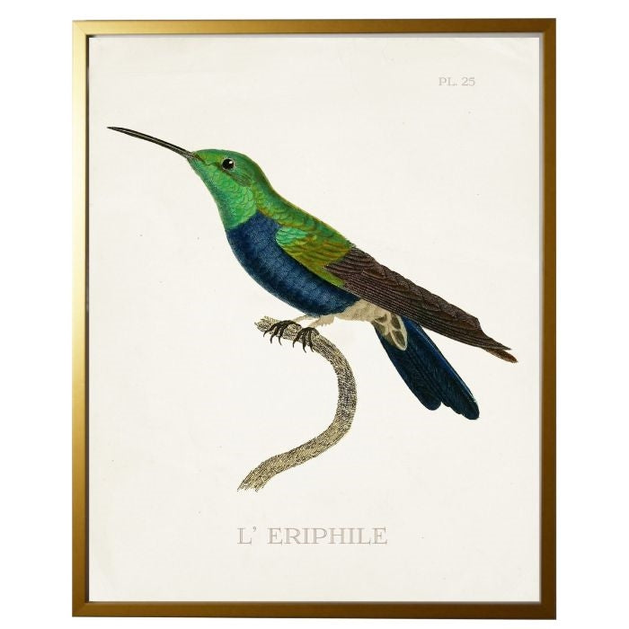 left facing hummingbird wall art