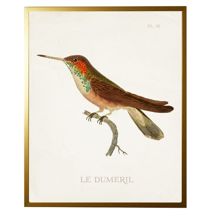 left facing hummingbird wall art