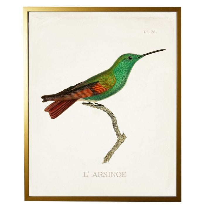 right facing hummingbird wall art