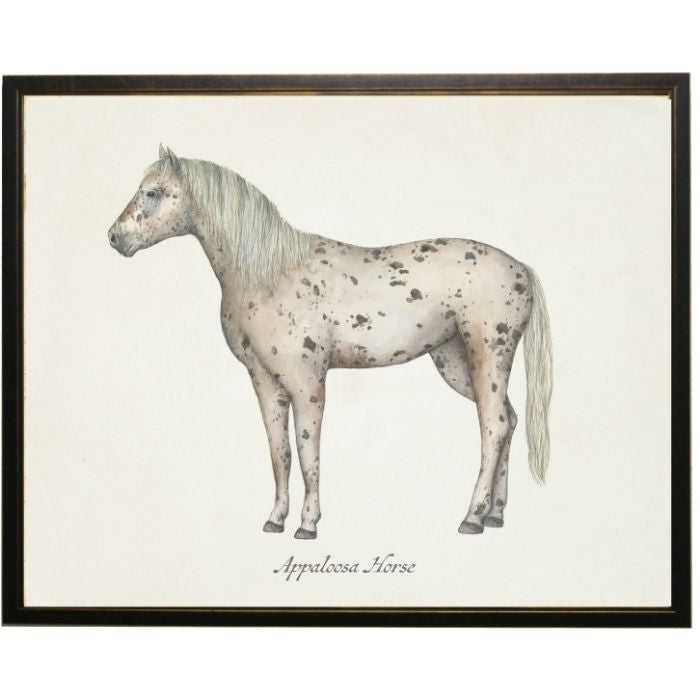 Appaloosa Horse Wall Art
