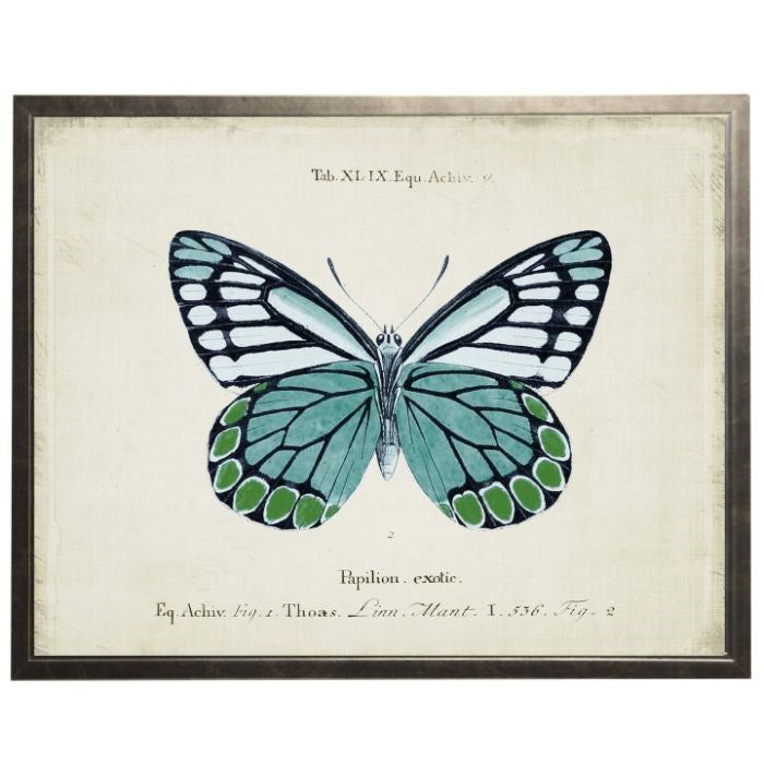 Vintage Butterfly Wall Art