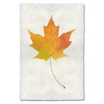 photography handmade paper maple leaf nature wall art
