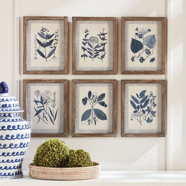 wall art framed organic natural botanical blue prints