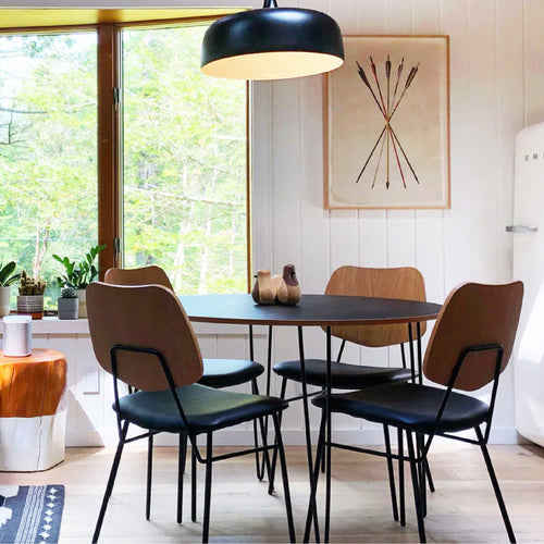 Barloga art print in a mid century modern kitchen
