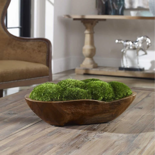 moss decor in an oblong bowl on a coffee table