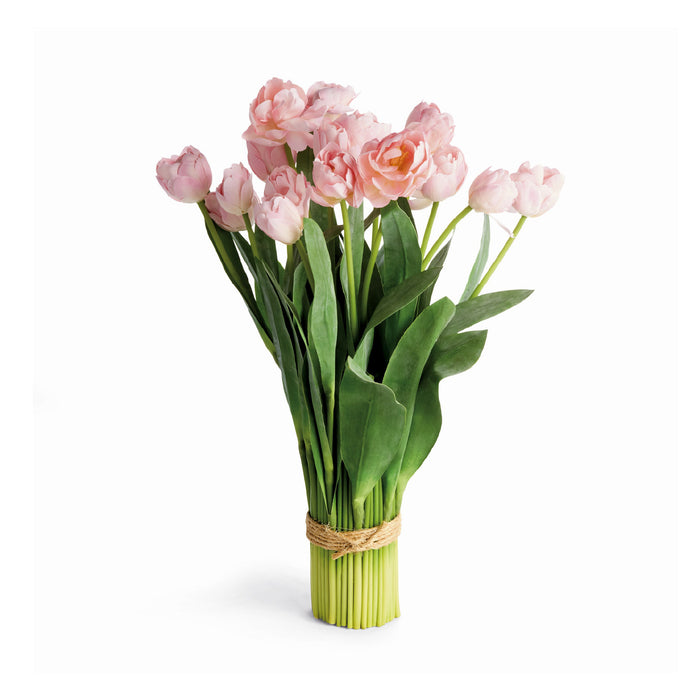 Bouquet of pink tulips with green stems on a white background