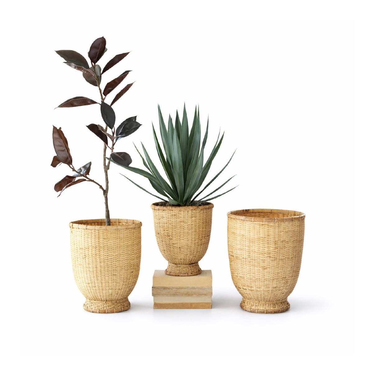 Three wicker planters with plants on a white background