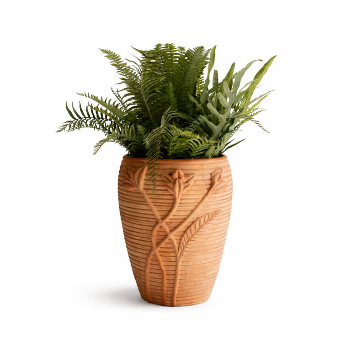 Terracotta pot with a fern plant on a white background