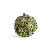 A single moss-covered round object, resembling a miniature decorative rock or miniature plant cluster, isolated on a white background.