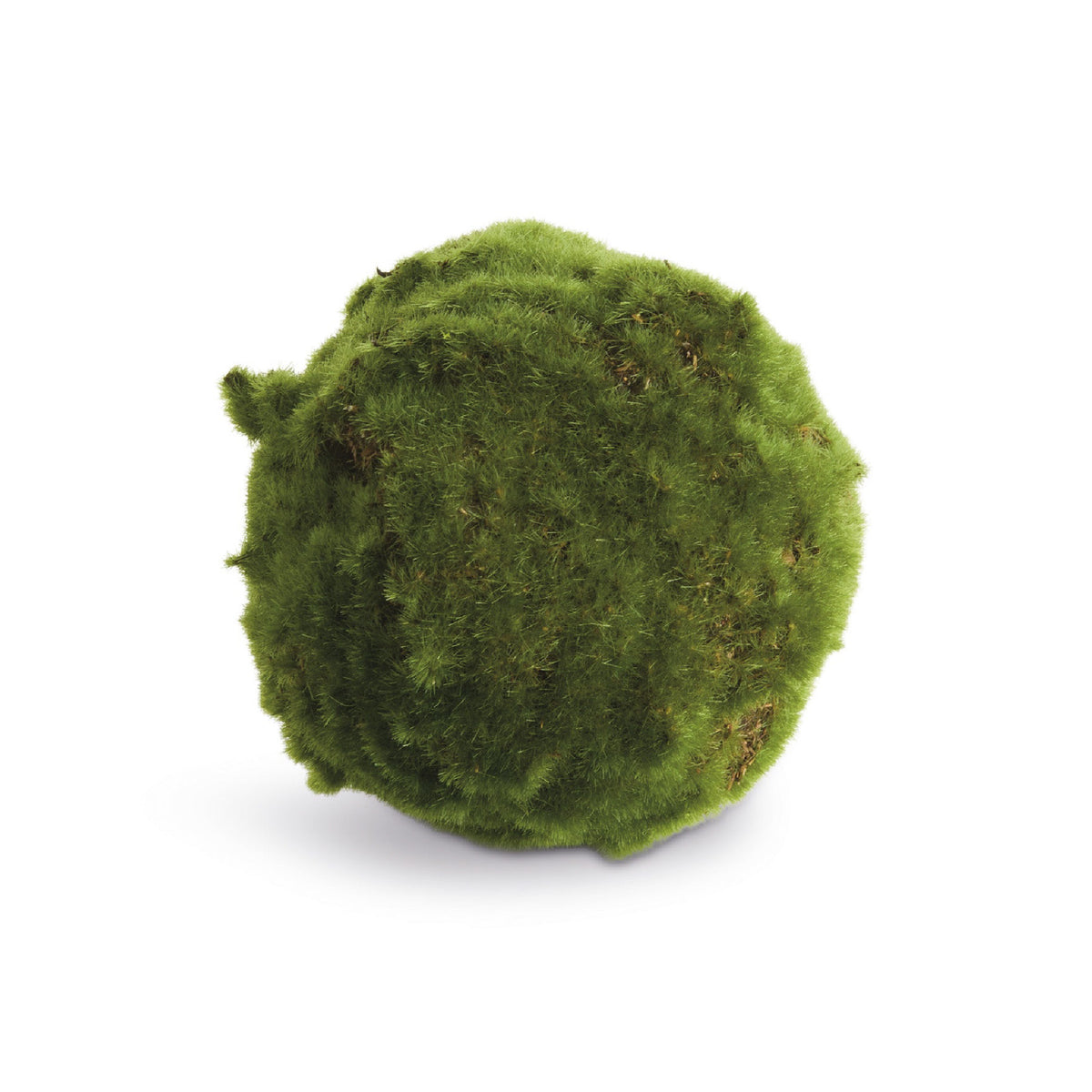 A round, moss-covered decorative object or plant ball with a textured, fuzzy green surface, isolated on a white background.