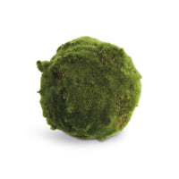 A round, moss-covered decorative object or plant ball with a textured, fuzzy green surface, isolated on a white background.