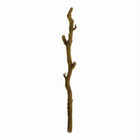 mossy branch