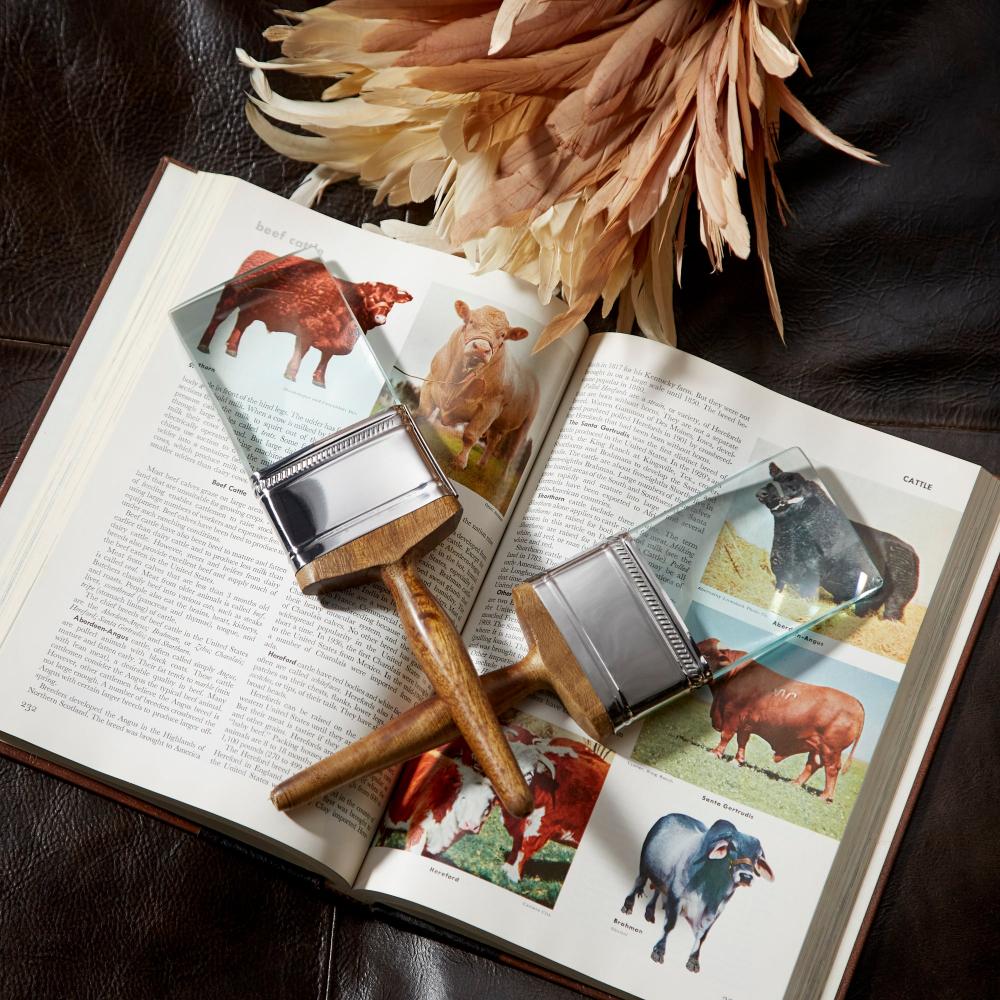 Two paint brushes on an open book with animal illustrations