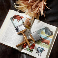 Two paint brushes on an open book with animal illustrations