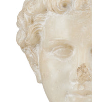 Marble sculpture of a classical head on a white background