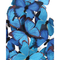 Cluster of blue butterflies on a white background