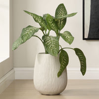 Potted plant in a white planter  on a wooden floor with a neutral wall background
