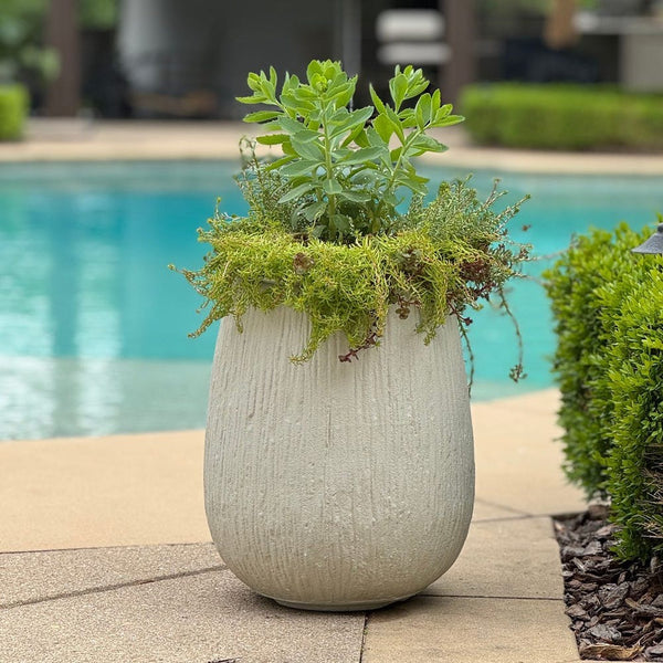 Decorative planter with green plants by a poolside