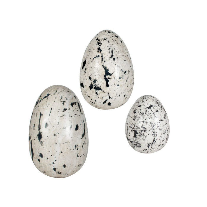 Three speckled eggs on a white background