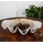 The Uttermost Clam Shell Bowl with pine cones sits on a wooden table, adding coastal charm beside a leafy plant.