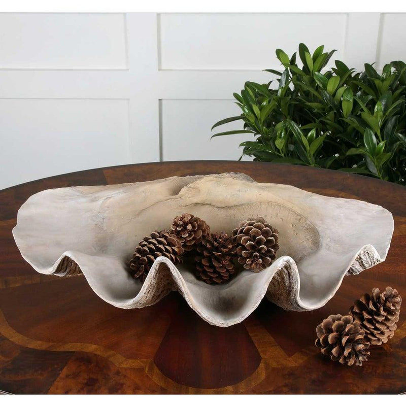 The Uttermost Clam Shell Bowl with pine cones sits on a wooden table, adding coastal charm beside a leafy plant.