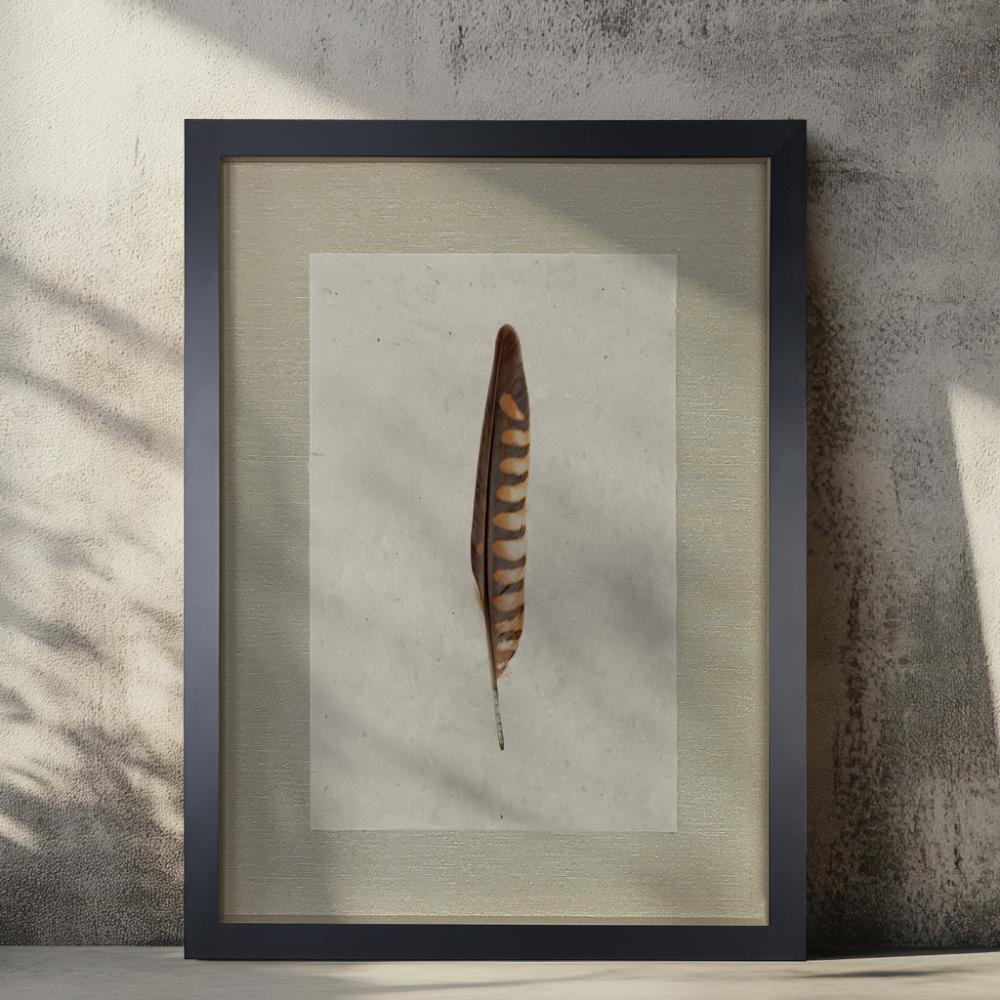 The Kestrel Feather Photography Art by Barloga Studios is elegantly displayed in archival wood frames, showcasing a framed feather portrait against a textured wall with soft shadows.