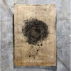 Photography Art - Nest Study 3 (size + style options)