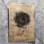 Photography Art - Nest Study 3 (size + style options)