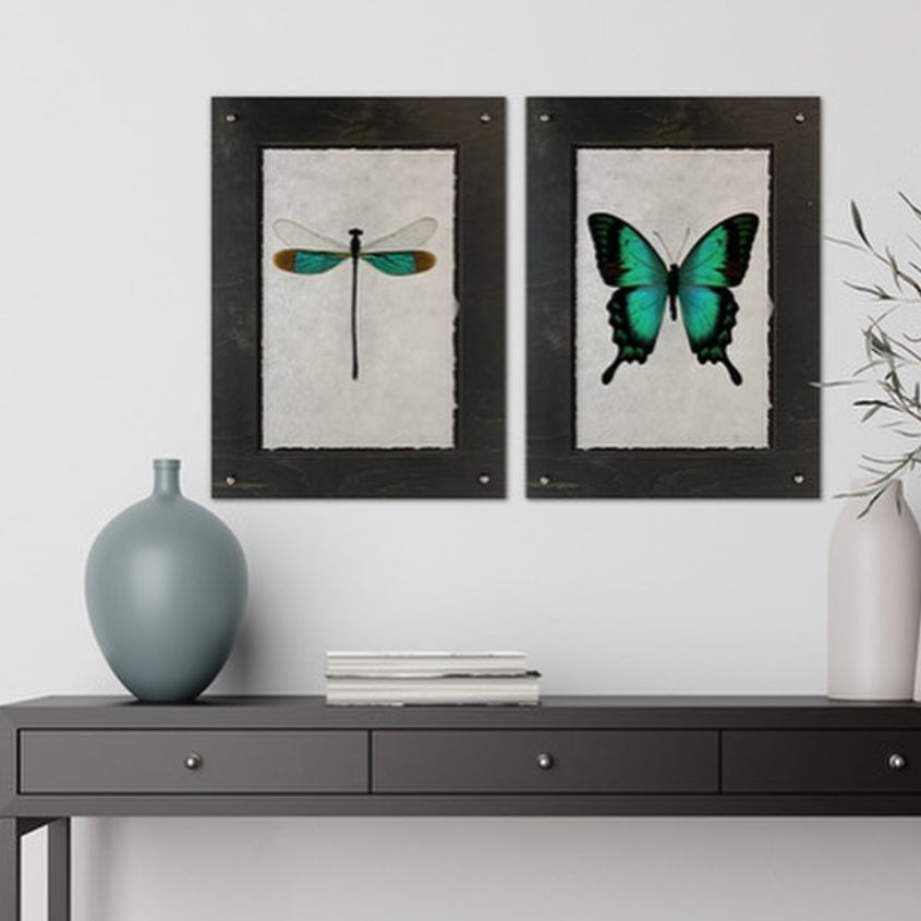 Two framed art pieces, a dragonfly and a butterfly, hang above a black console table adorned with vases and a stack of books, enhancing an elegant art collection. Consider the **Damselfly Turquoise Photography Art** by **Barloga Studios** for diverse framing options to complement this setup.