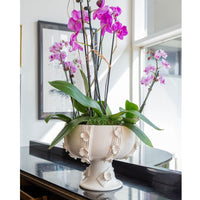 Orchid plant in a decorative white vase on a reflective surface with a blurred background