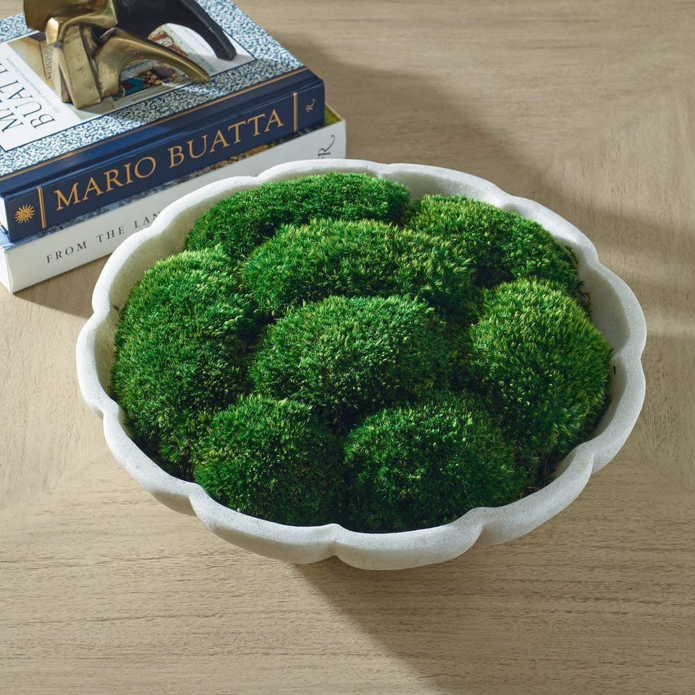 White bowl filled with green moss on a wooden surface with books in the background.