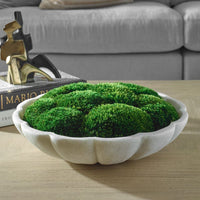 Decorative bowl with green moss on a wooden surface with a blurred sofa in the background