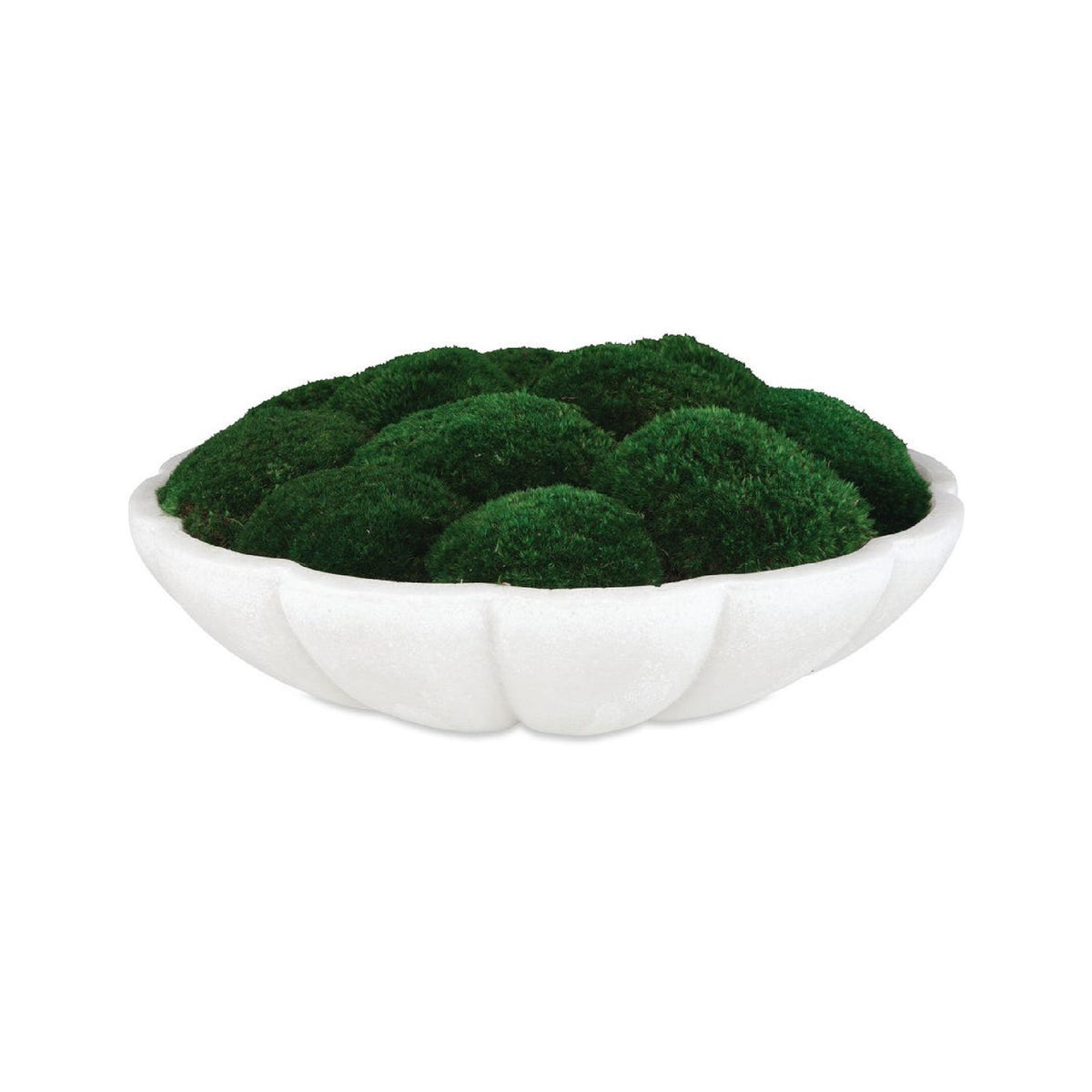 White bowl filled with green moss-like material on a white background