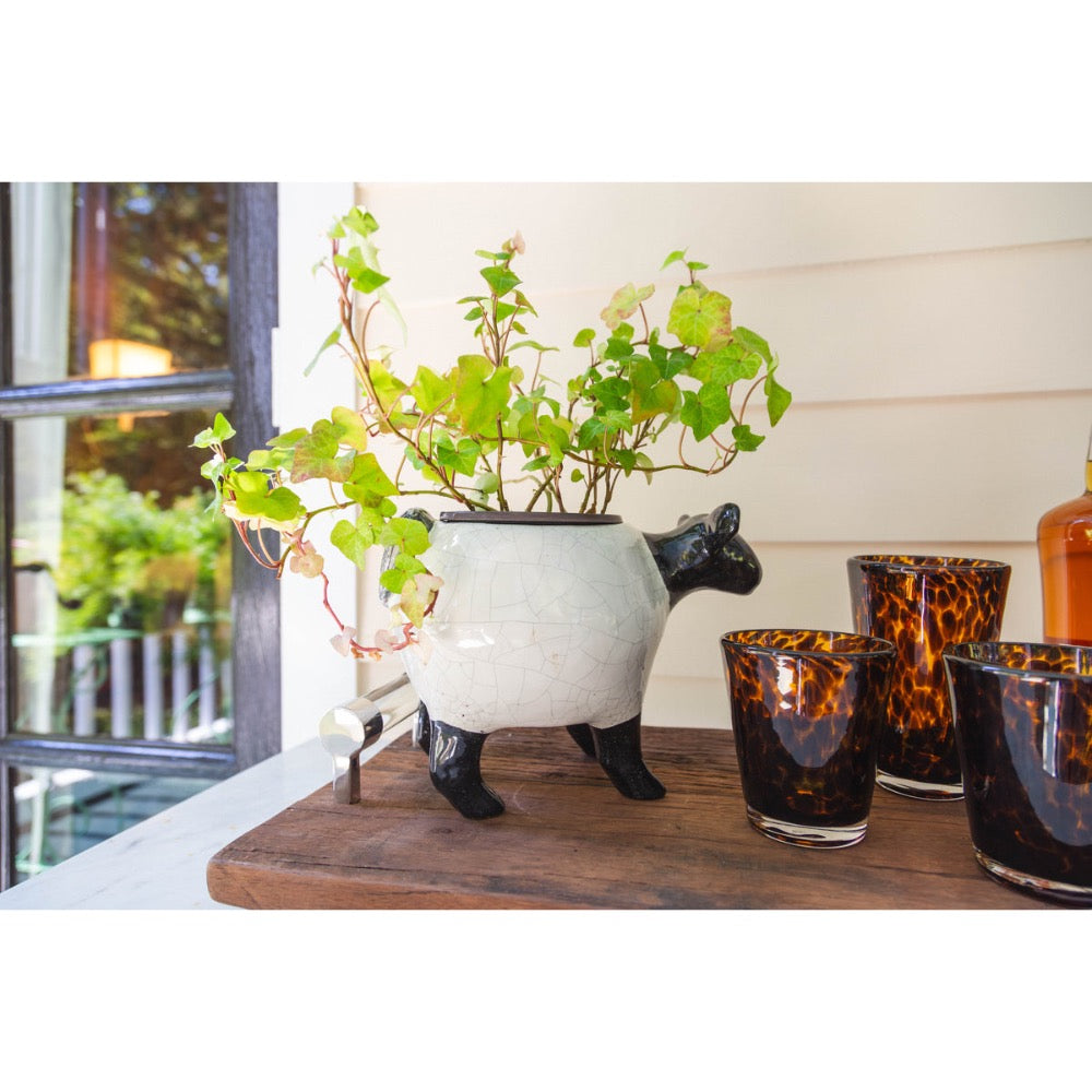 tortoise highball tumbler set of four brown black