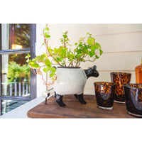 tortoise highball tumbler set of four brown black