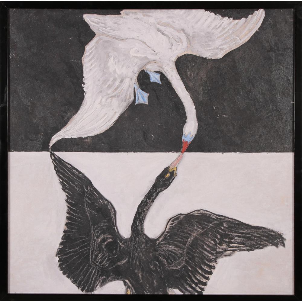 canvas art print of two swans white and black shades