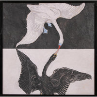 canvas art print of two swans white and black shades